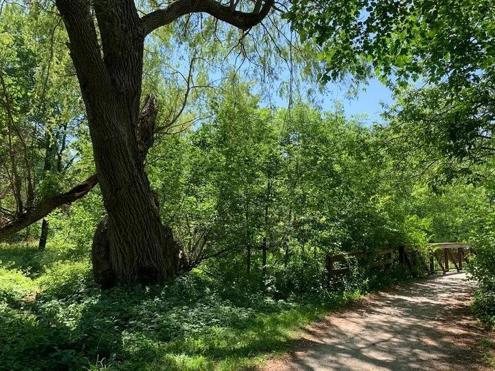 Traditions Of Country Lane Neighborhood 5