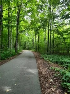Traditions Of Country Lane Neighborhood 9
